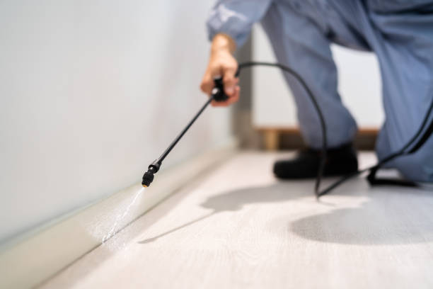 Licensed Termite Control service in Cumberland County County, NJ - Nex Pest Control